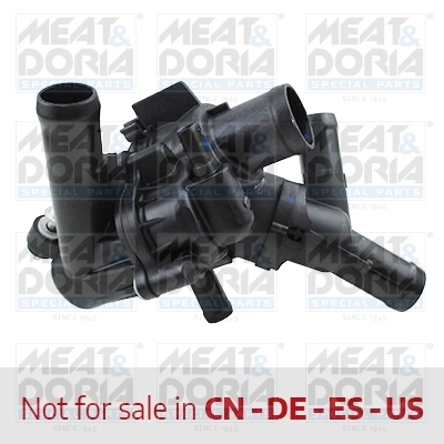 Thermostat, coolant